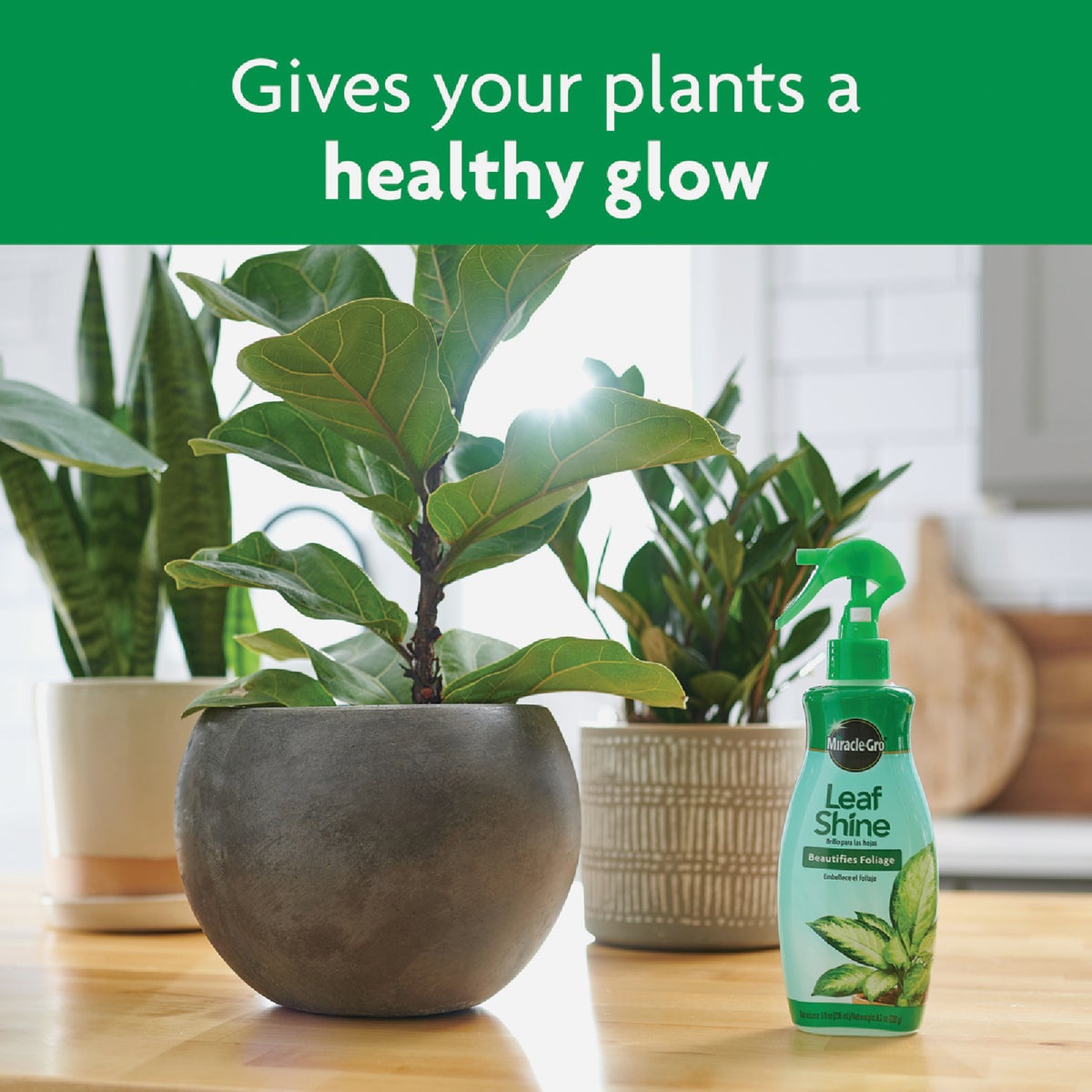 Miracle-Gro 8 Oz. Liquid Leaf Shine Image 5