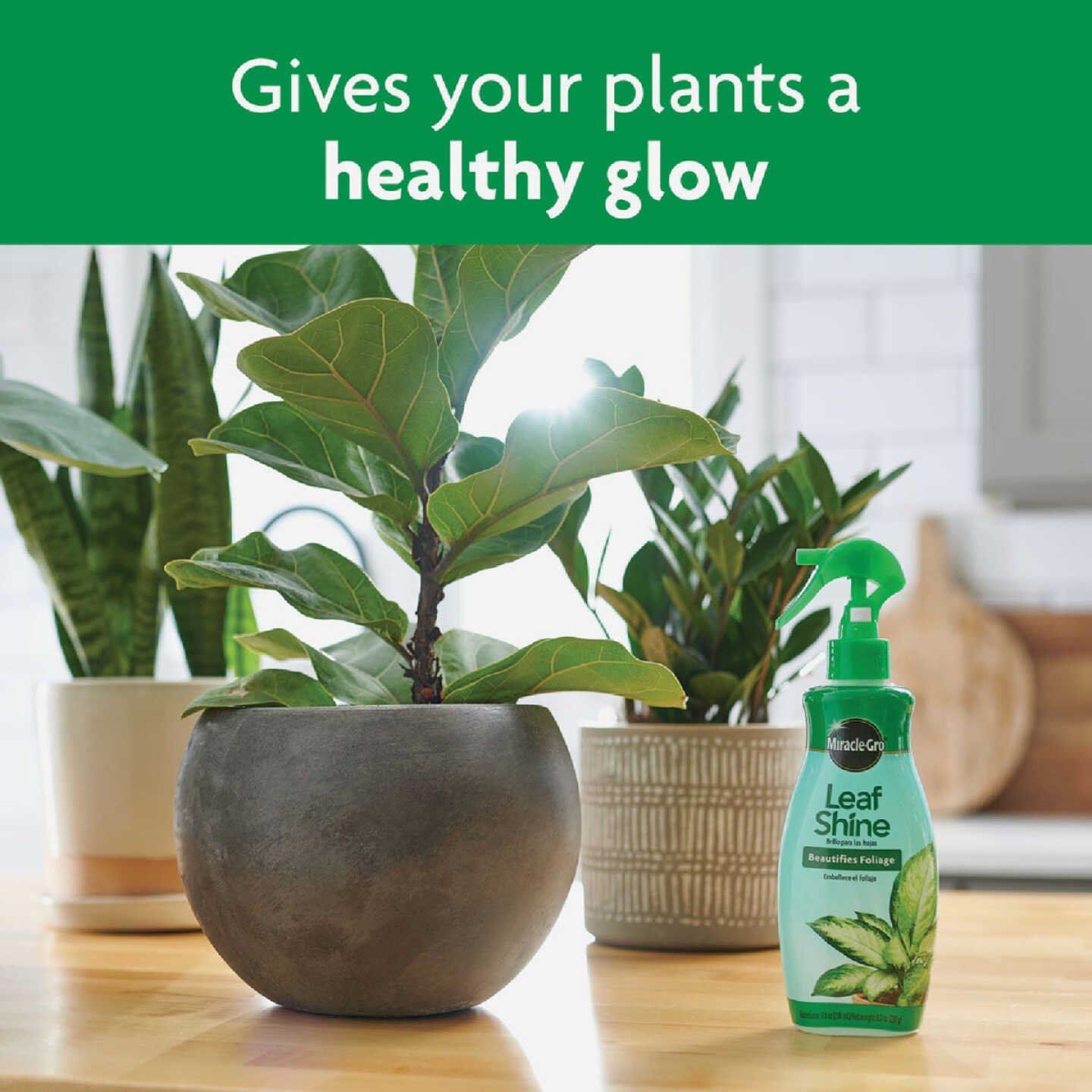 Miracle-Gro 8 Oz. Liquid Leaf Shine Image 5