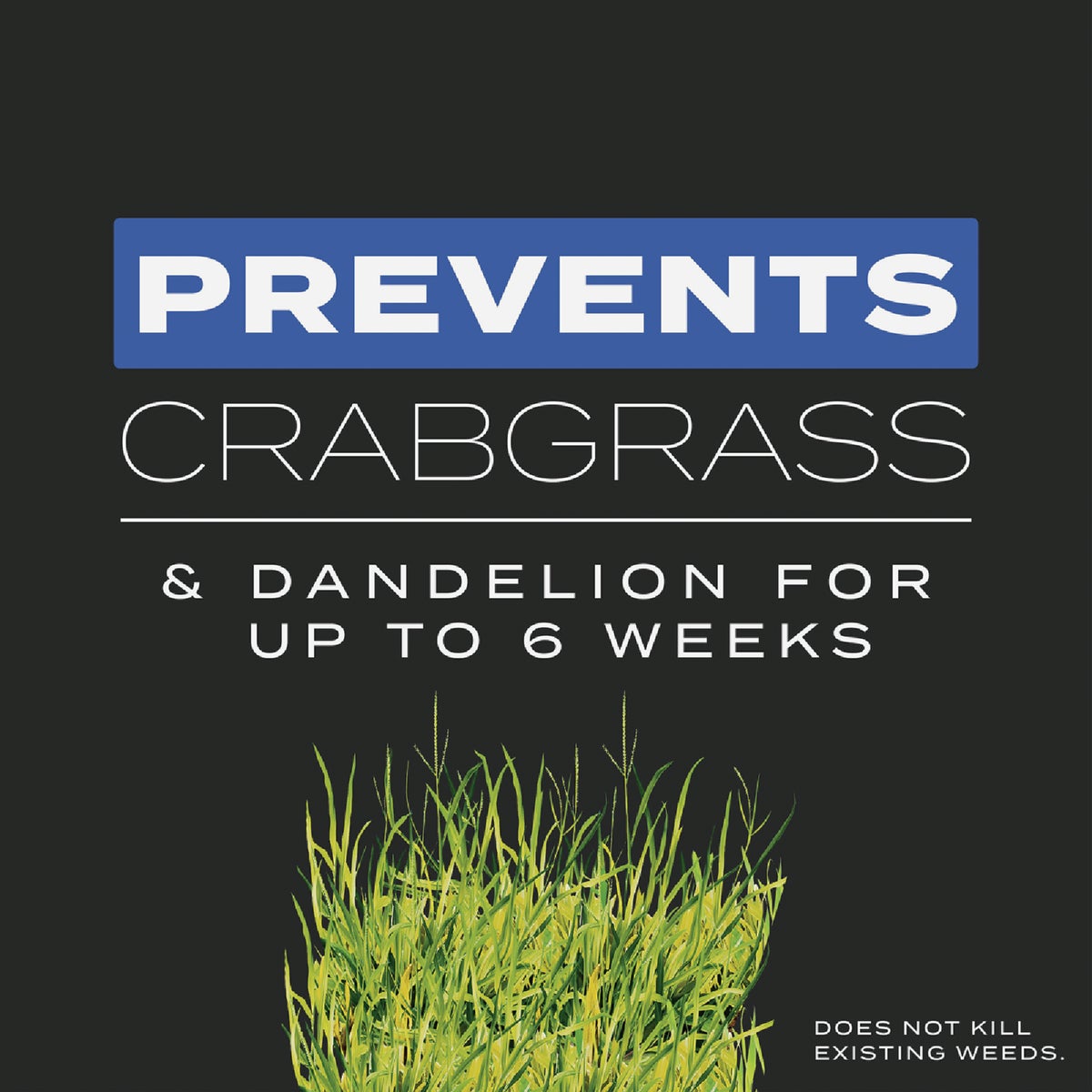 Scotts Turf Builder 4.3 Lb. 1000 Sq. Ft. Triple Action Built For Seeding Image 3