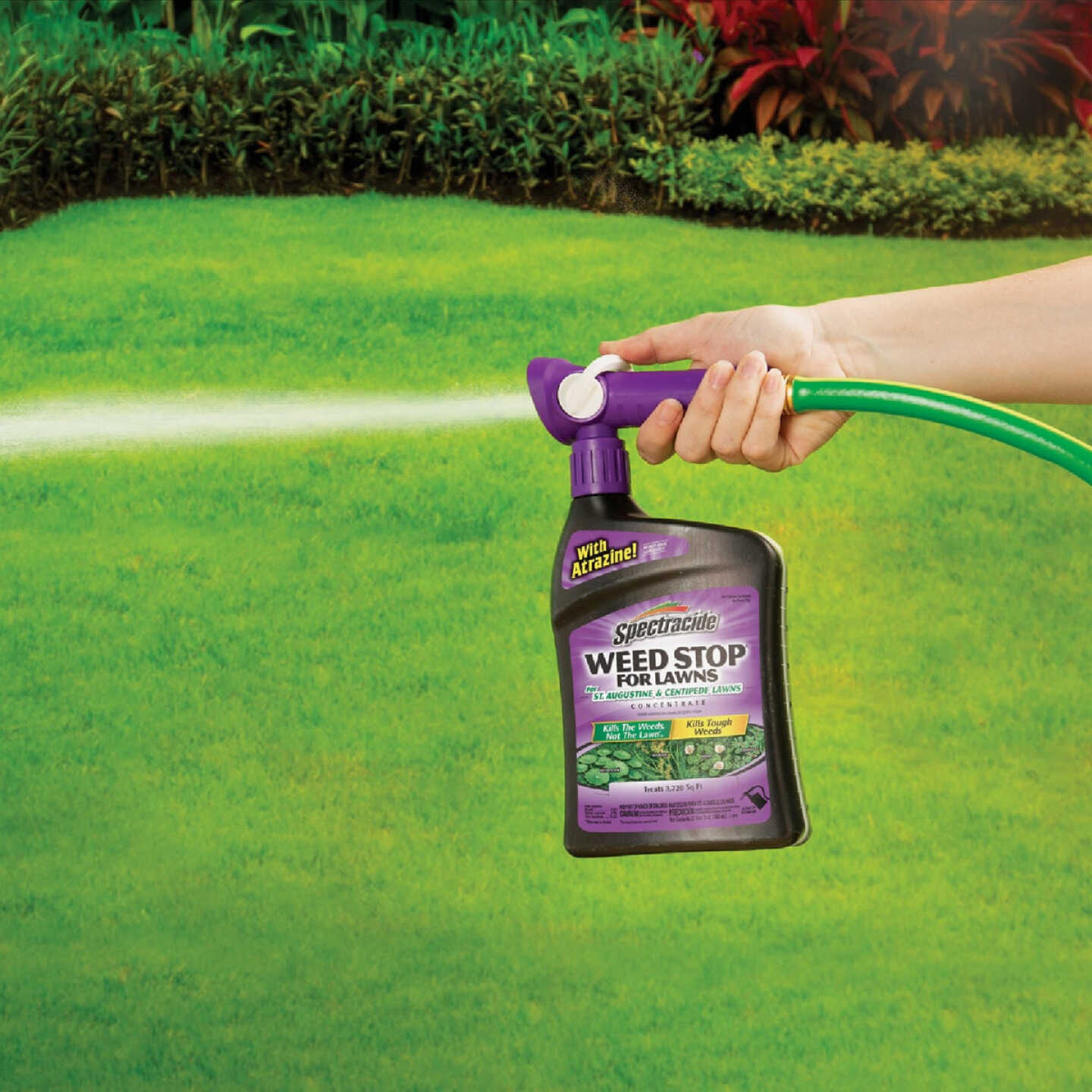 Spectracide Weed Stop For St. Augustine & Centipede Lawns 32 Oz. Ready To Spray Weed Killer Image 2