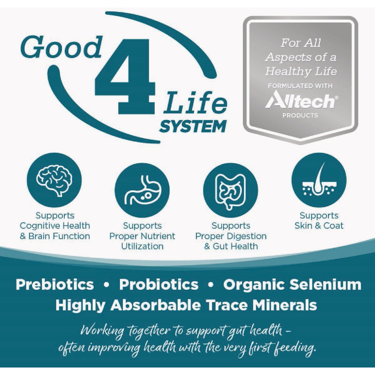 NutriSource 26 Lb. Trout & Rice Recipe Dog Food Image 6