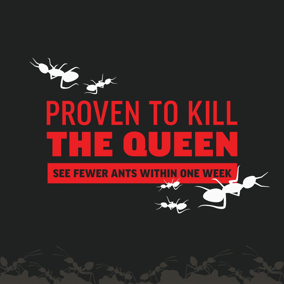 Amdro 24 Oz. Ready To Use Granules Home Perimeter Ant Killer Image 3