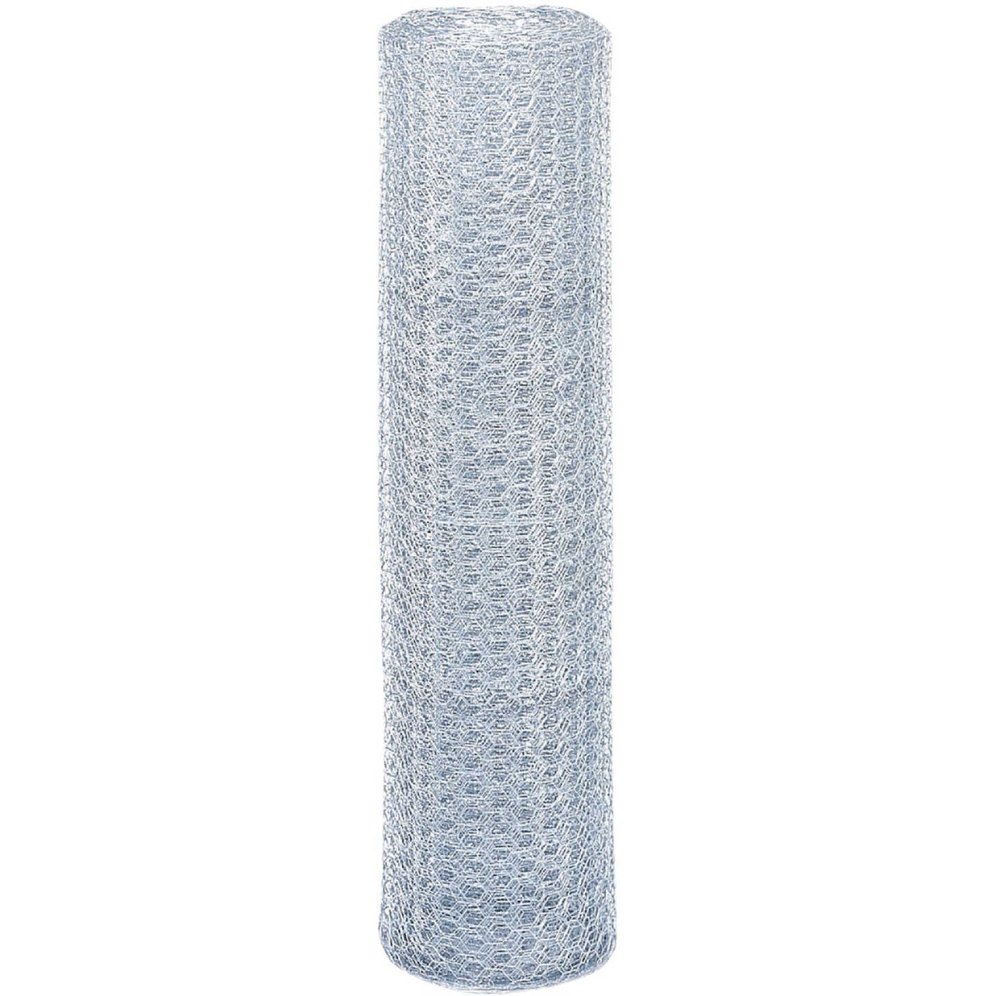 Do it 1 In. x 12 In. H. x 150 Ft. L. Hexagonal Wire Poultry Netting Image 2