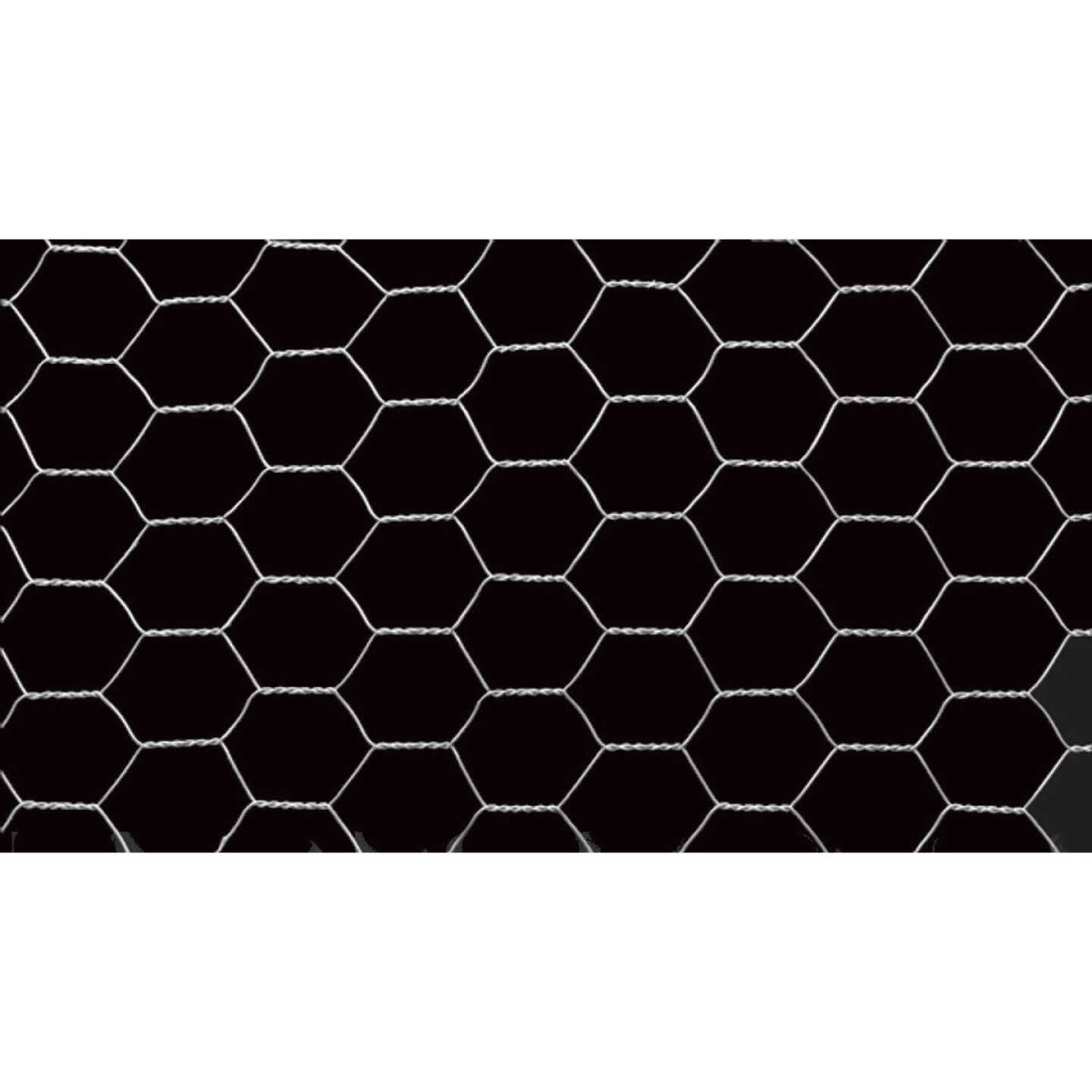 Do it 1 In. x 36 In. H. x 150 Ft. L. Hexagonal Wire Poultry Netting Image 3