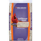 Valley Splendor 7.5 Lb. Safflower Seed Wild Bird Food Image 1
