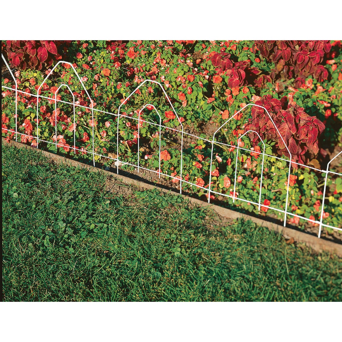 Best Garden 8 Ft. White Galvanized Wire Folding Fence Image 4