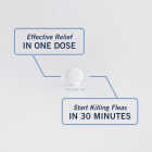 PetArmor CapAction 2 to 25 Lb. Cat Flea Tabs (6-Pack) Image 5