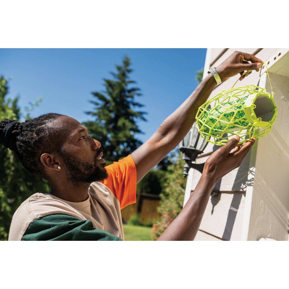 Rescue TrapStik Disposable Carpenter Bee Trap Image 3