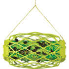 Rescue TrapStik Disposable Carpenter Bee Trap Image 6