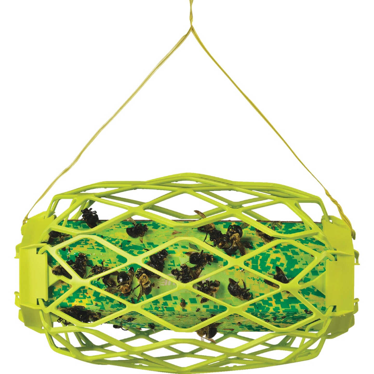 Rescue TrapStik Disposable Carpenter Bee Trap Image 6