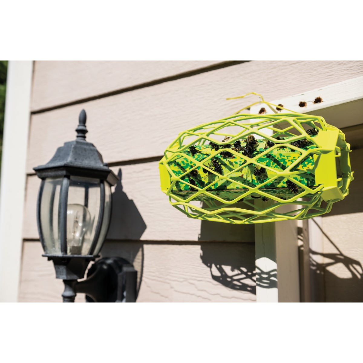 Rescue TrapStik Disposable Carpenter Bee Trap Image 2