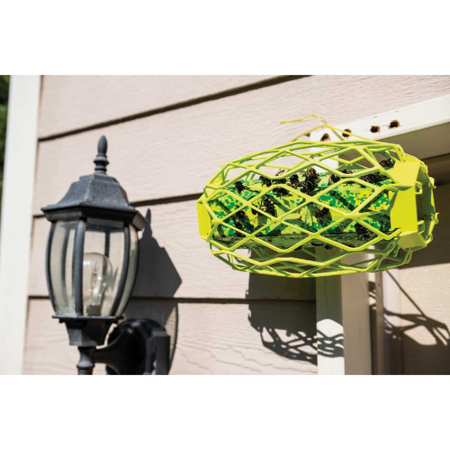 Rescue TrapStik Disposable Carpenter Bee Trap Image 2