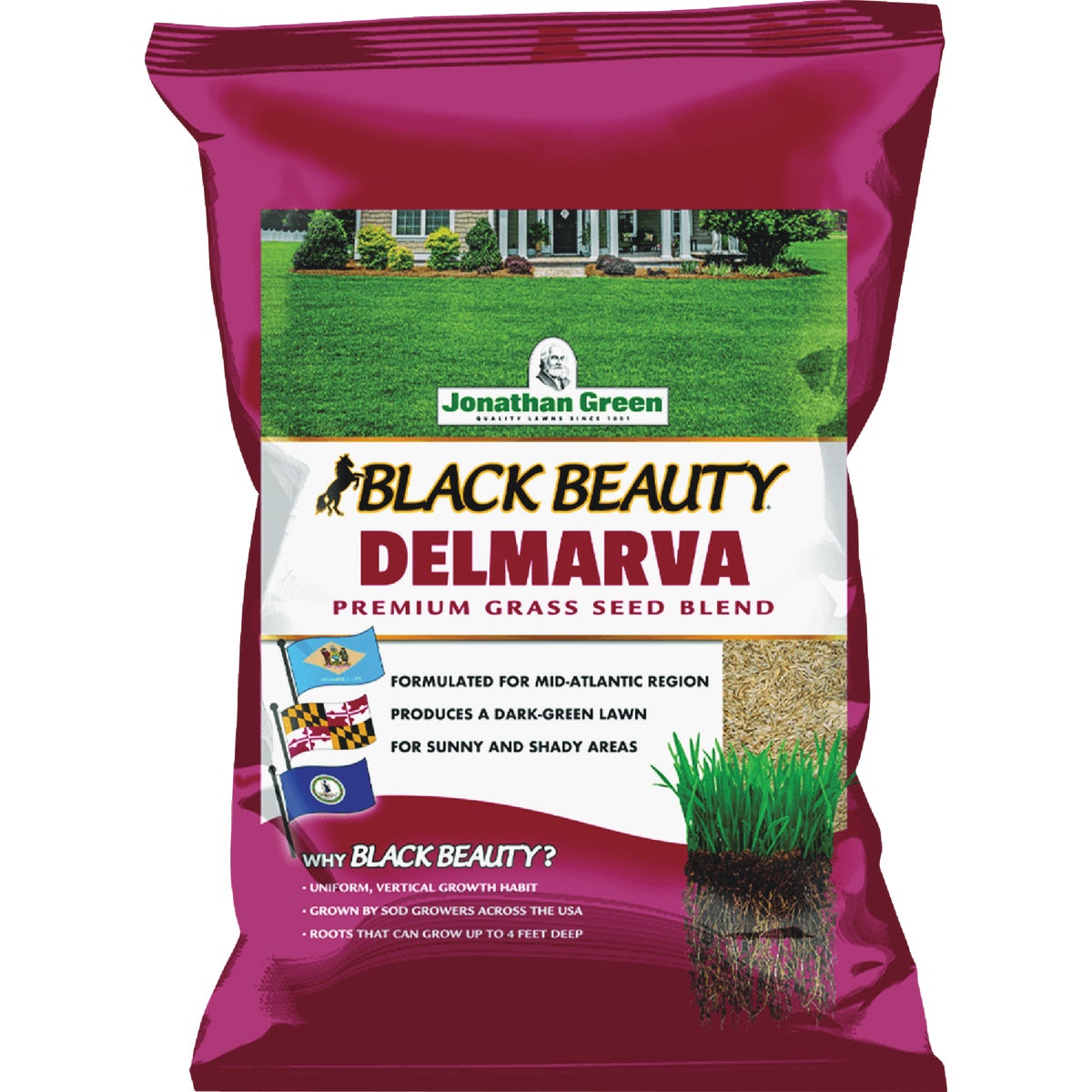Jonathan Green Black Beauty Delmarva 25 Lb. 7500 Sq. Ft. Coverage Tall Fescue Grass Seed
