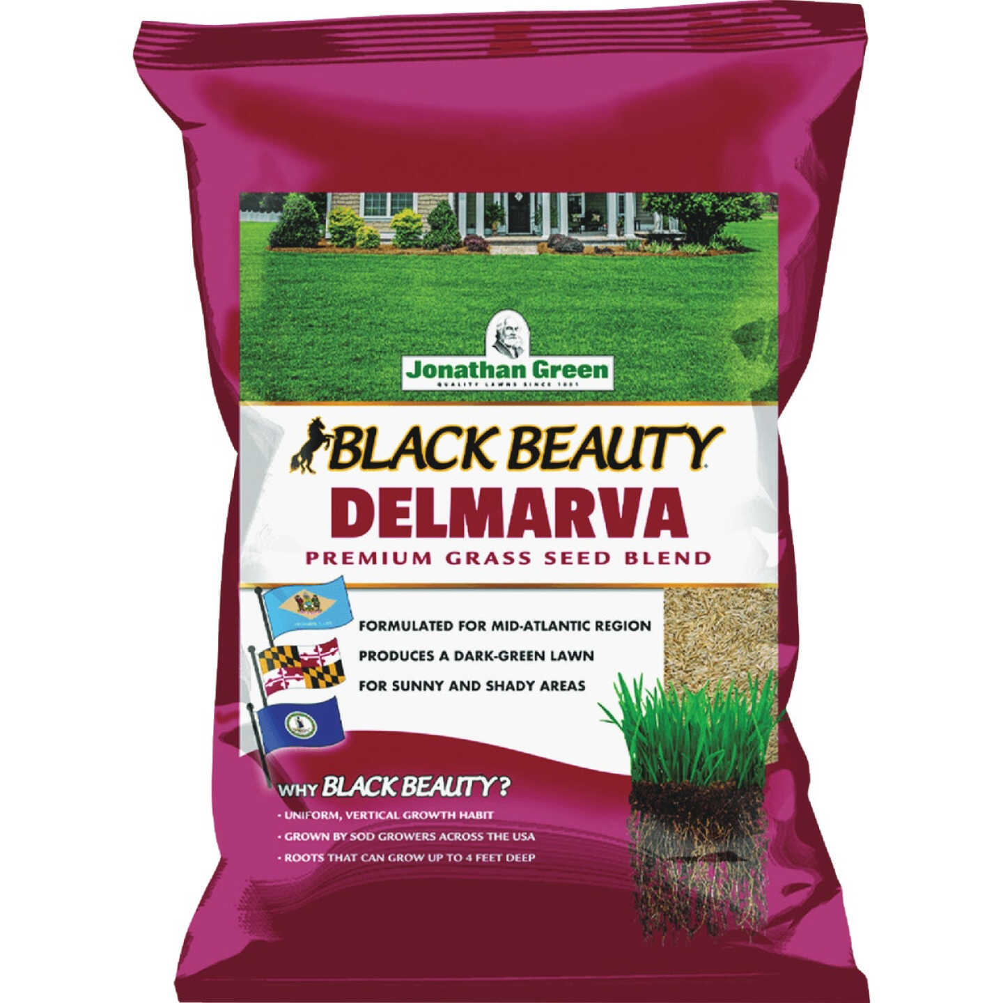 Jonathan Green Black Beauty Delmarva 25 Lb. 7500 Sq. Ft. Coverage Tall Fescue Grass Seed Image 1