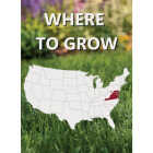 Jonathan Green Black Beauty Delmarva 25 Lb. 7500 Sq. Ft. Coverage Tall Fescue Grass Seed Image 2