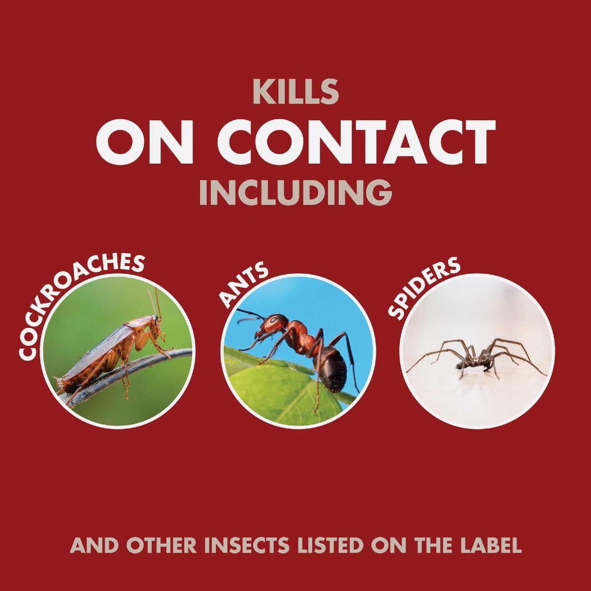 Spectracide Bug Stop Home Barrier 64 Oz. Ready To Use Wand Sprayer Insect Killer Image 5