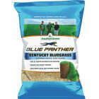 Jonathan Green Blue Panther Kentucky Bluegrass 3 Lb. 2400 Sq. Ft. Coverage Grass Seed Image 1
