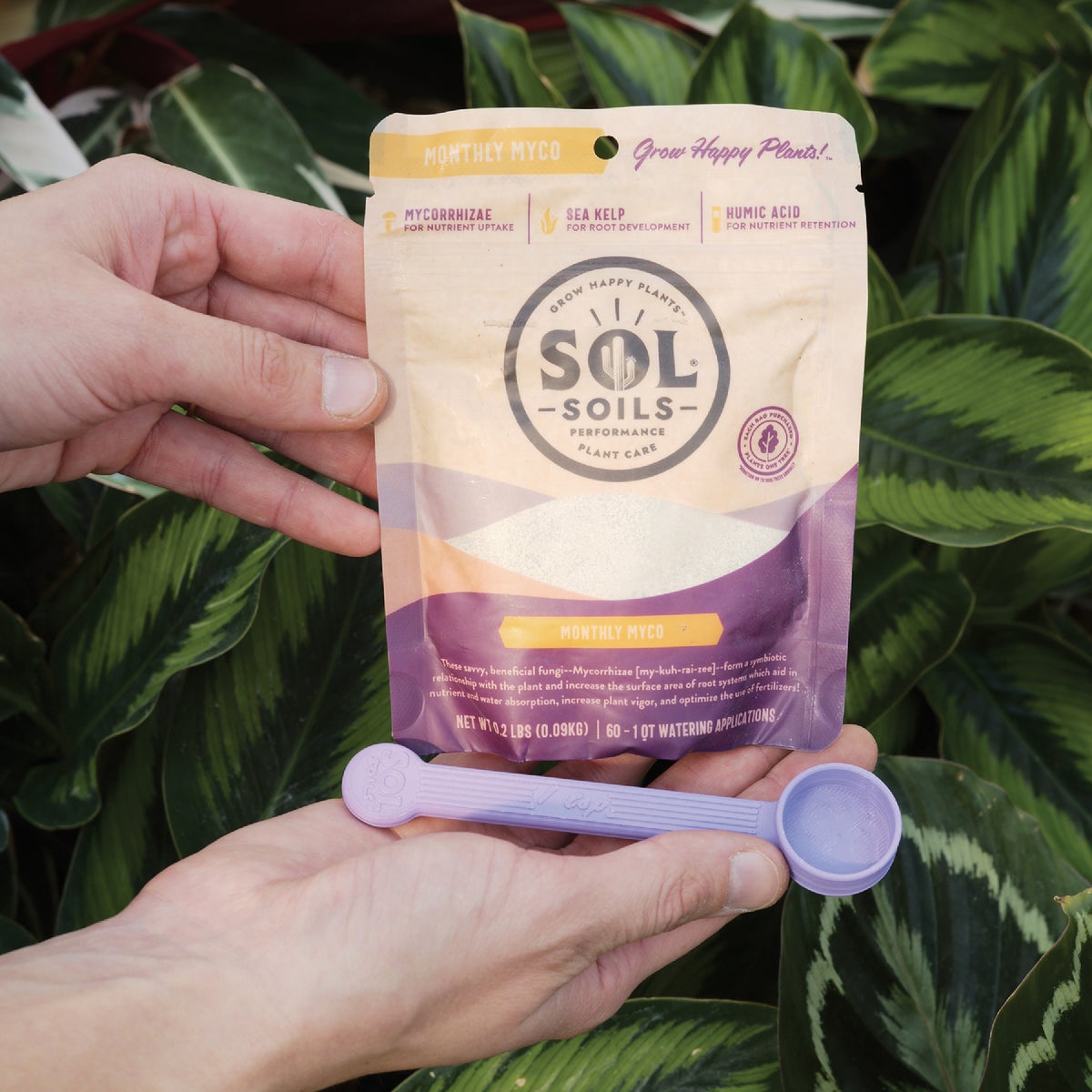 Sol Soils 0.4 Lb. Monthly Myco Image 5