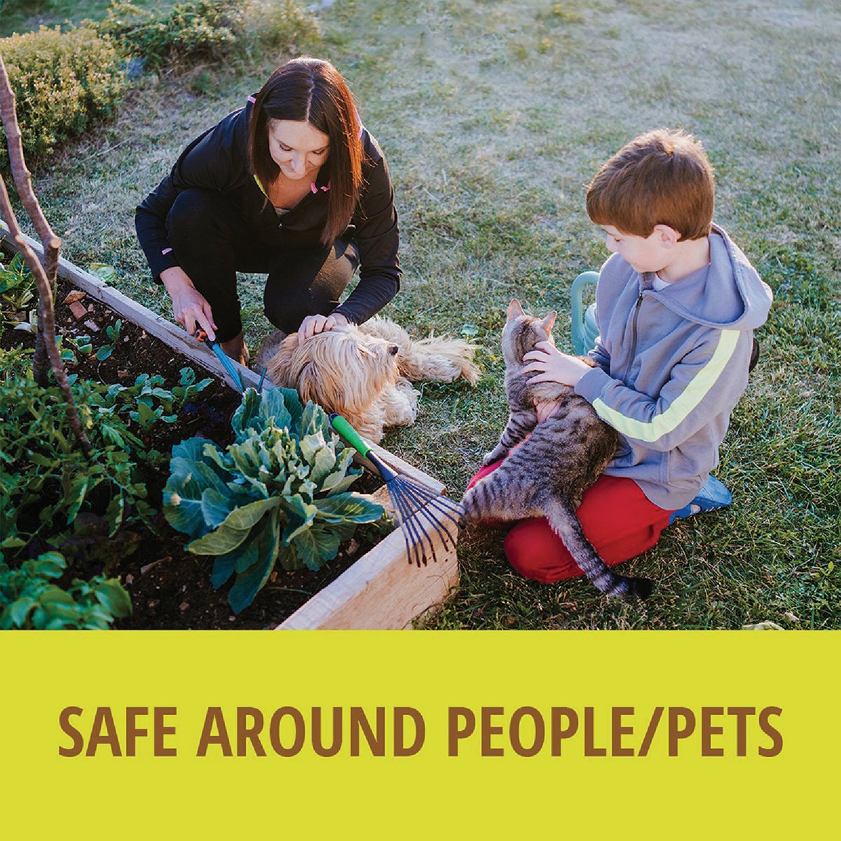 VoleX 8 Oz. Vole Killer Image 2