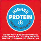 Kent Home Fresh Extra Egg Layer Free Range 40 Lb. Pellet Feed Image 5