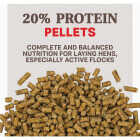 Kent Home Fresh Extra Egg Layer Free Range 40 Lb. Pellet Feed Image 2