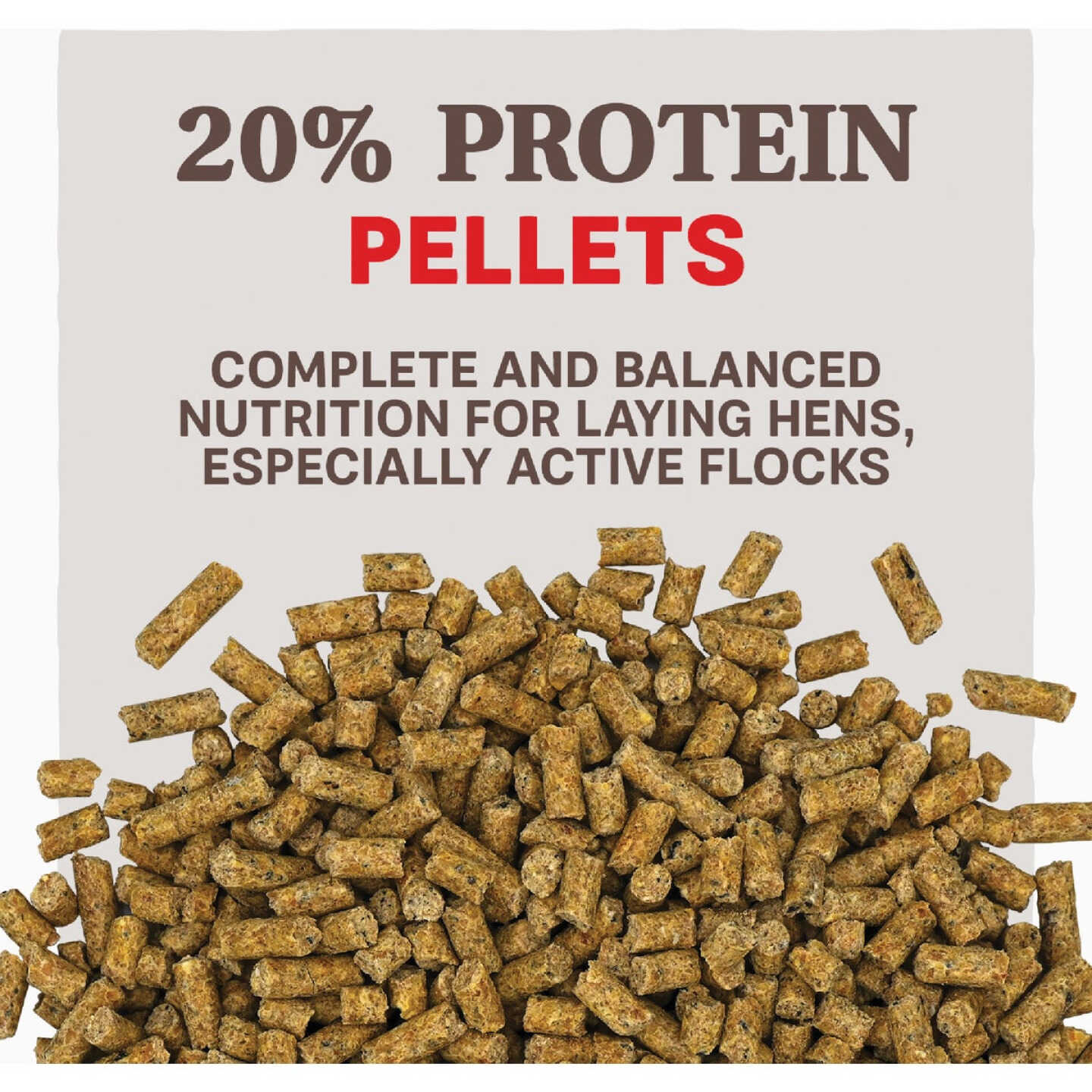 Kent Home Fresh Extra Egg Layer Free Range 40 Lb. Pellet Feed Image 2