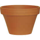 6.5" AZALEA TC CLAY POT Image 1