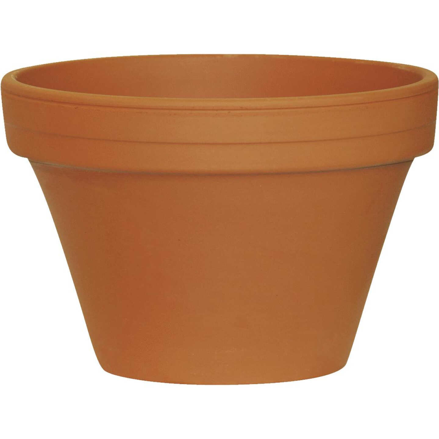 6.5" AZALEA TC CLAY POT Image 1