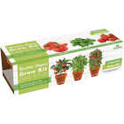 TotalGreen Holland Italian Herb Trio Grow Kit Image 1