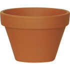 8" AZALEA TC CLAY POT Image 1