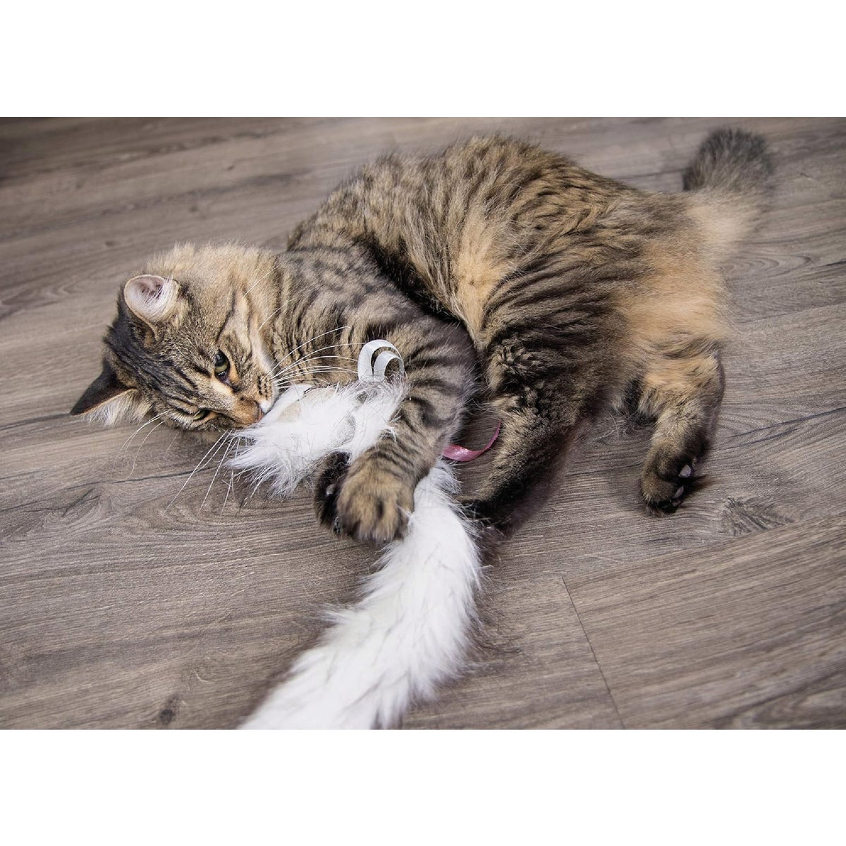 SmartyKat Chitter Critter Electronic Sound Kicker Cat Toy Image 3