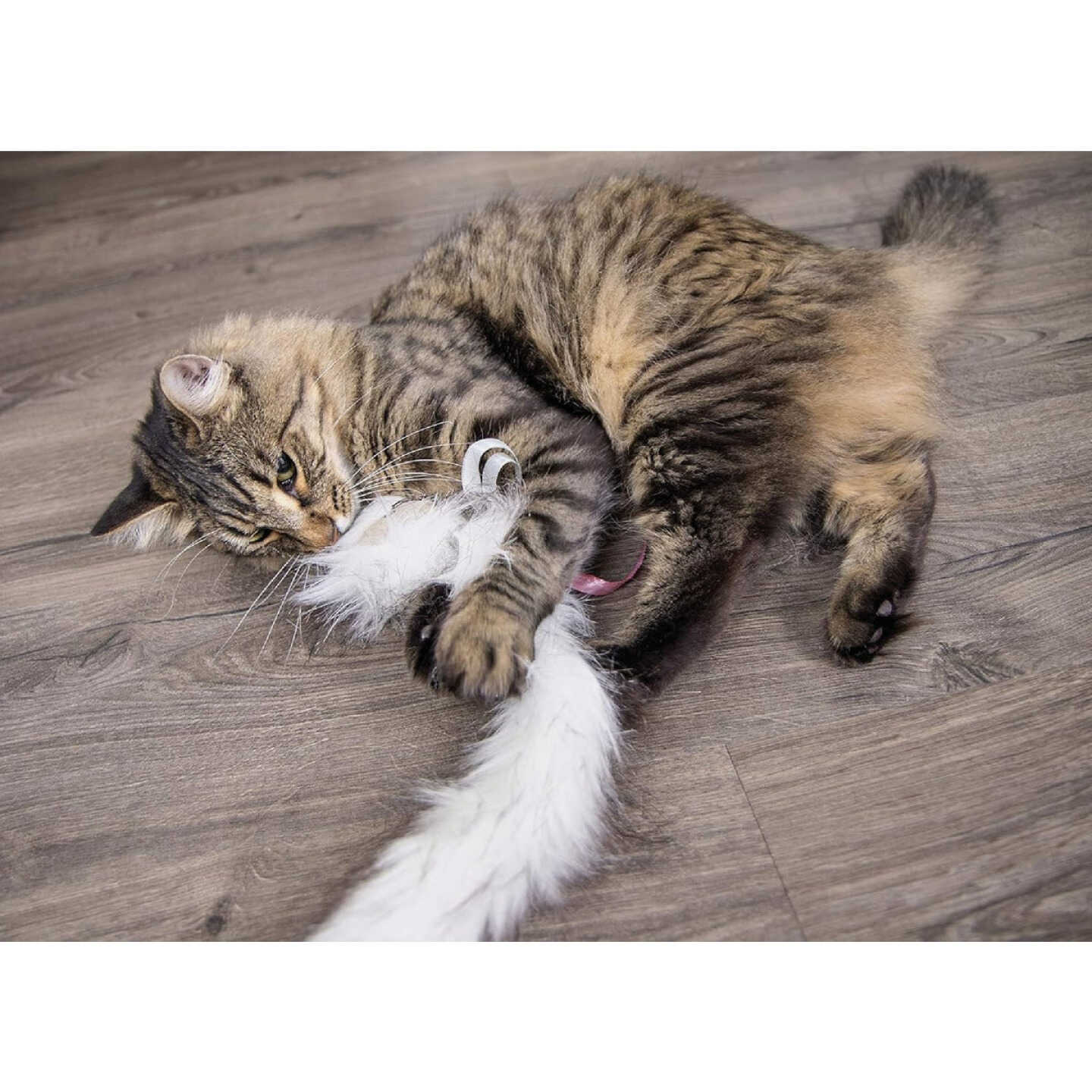 SmartyKat Chitter Critter Electronic Sound Kicker Cat Toy Image 3