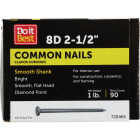 Do it 8d x 2-1/2 In. 10-1/2 ga Bright Common Nails (101 Ct., 1 Lb.) Image 1