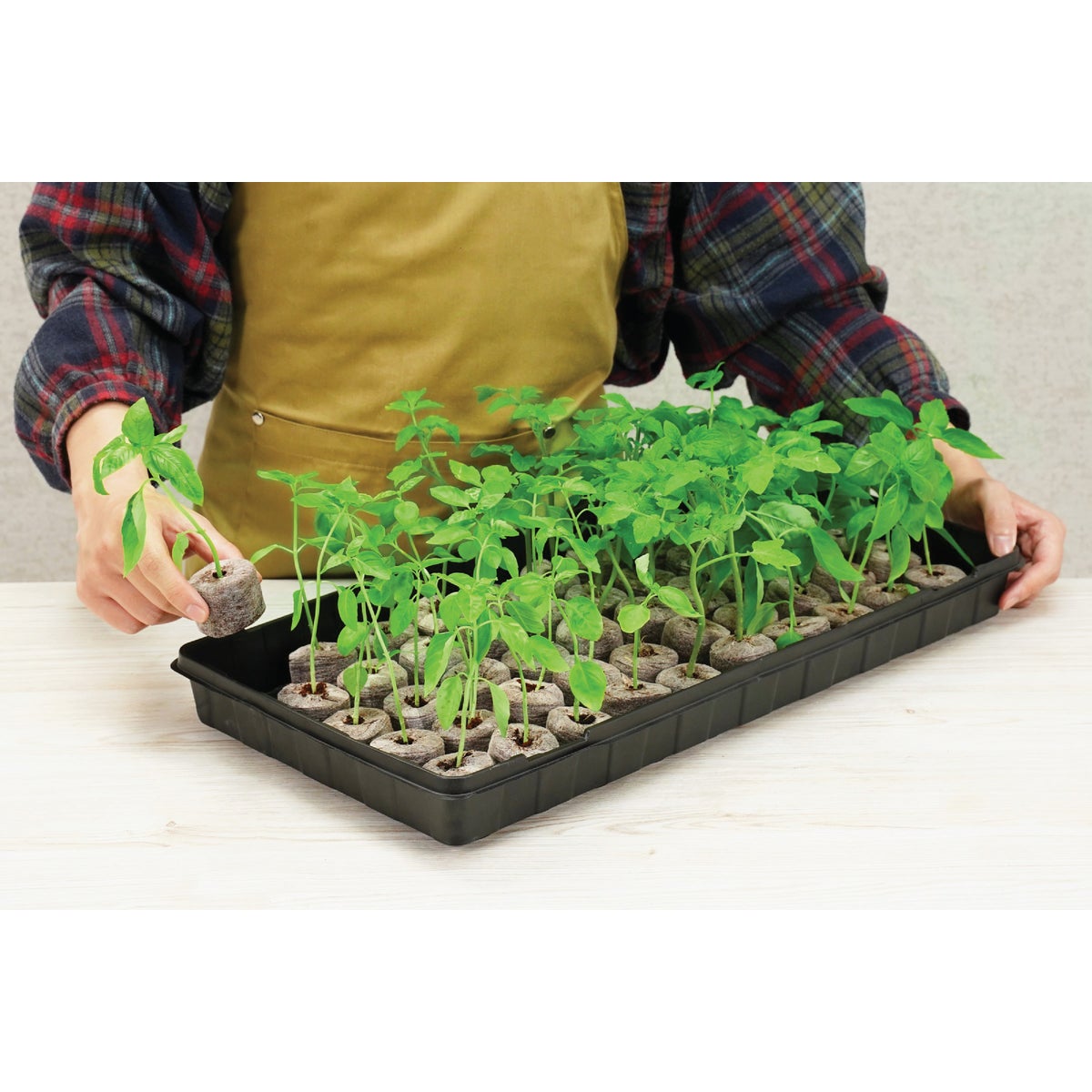 PlantBest 50-Pellet Coir Greenhouse Kit Image 6