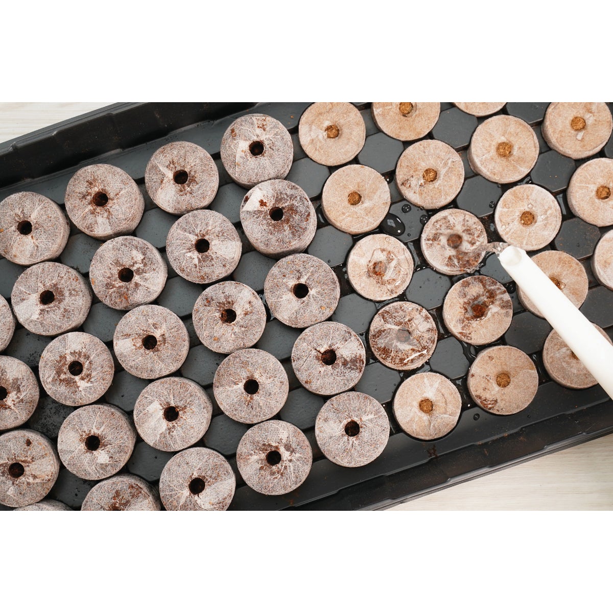 PlantBest 50-Pellet Coir Greenhouse Kit Image 3