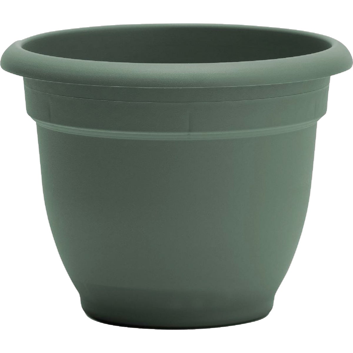 Bloem Ariana 6 In. Basil Planter Image 1