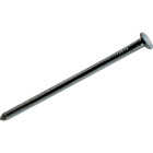 Do it 20d x 4 In. 6 ga Bright Common Nails (145 Ct., 5 Lb.) Image 1