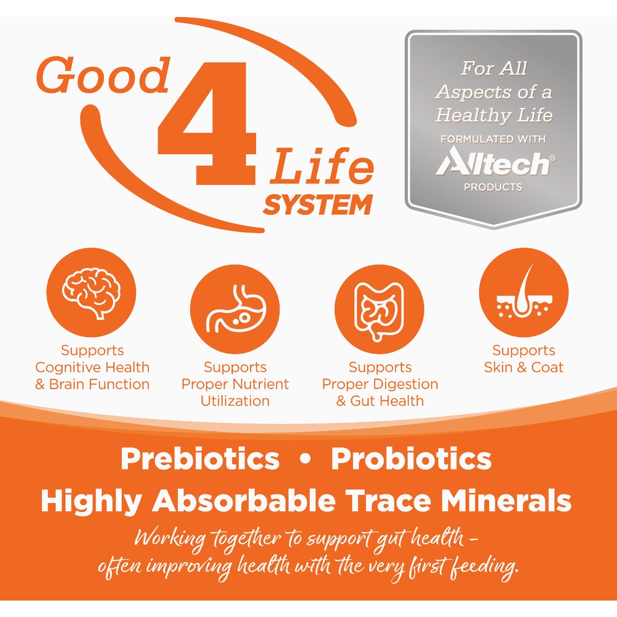 NutriSource 5.5 Oz. Grain Free Pork & Pork Liver Select Cat Food Image 6