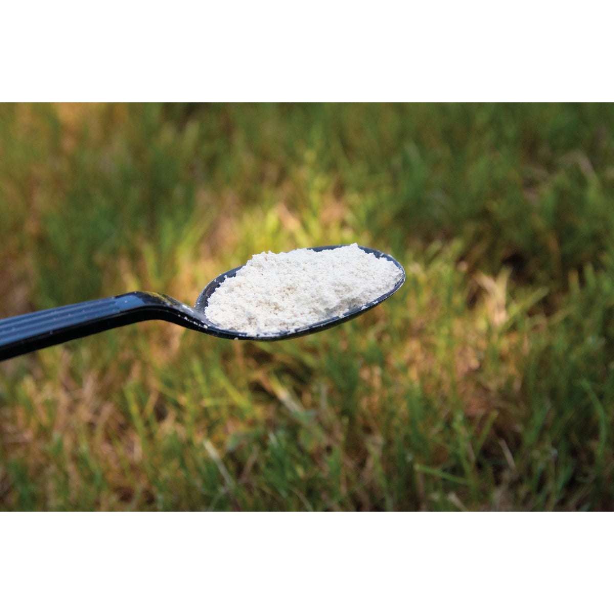 St. Gabriel Organics DE-Mite 20 Oz. Ready To Use Powder Diatomaceous Earth Dust Bath Image 2