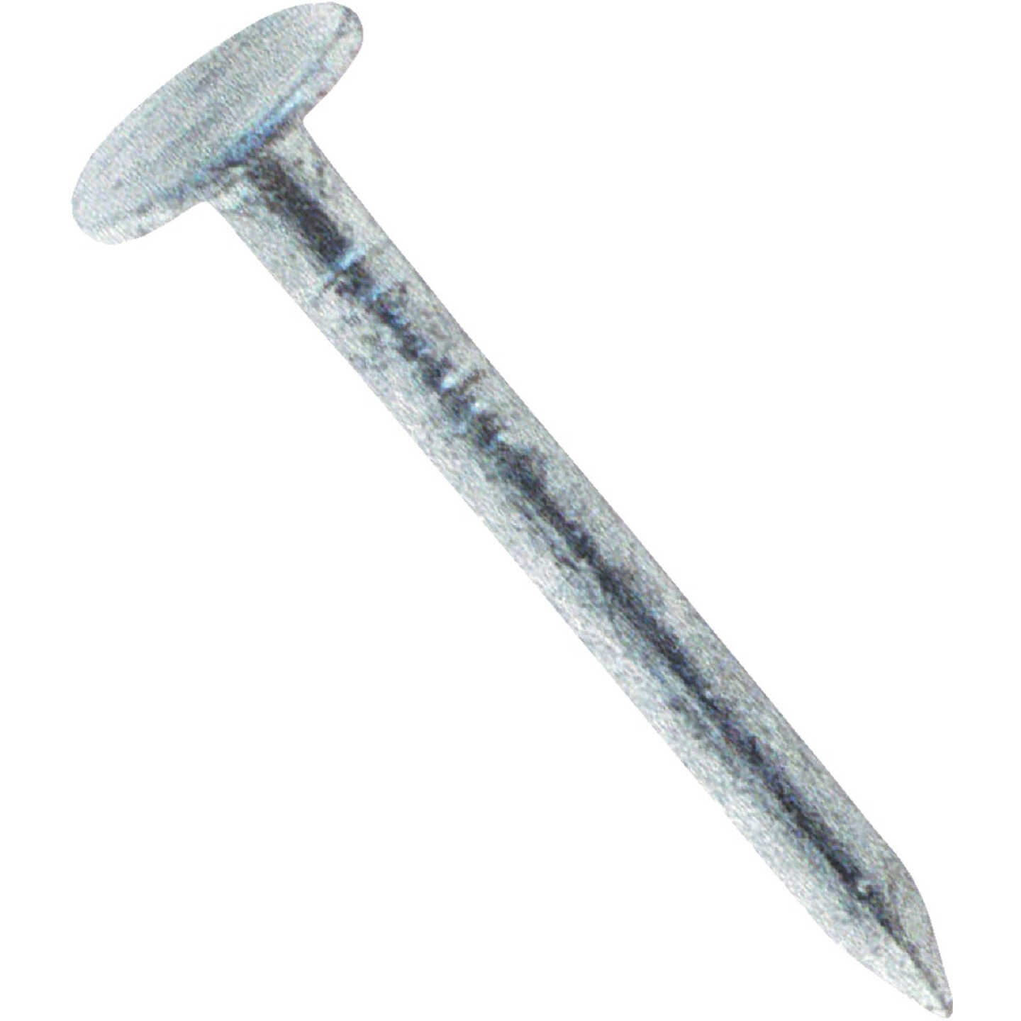Do it Best 1 In. 11 ga Hot Galvanized Roofing Nails (12,750 Ct., 50 Lb.) Image 1