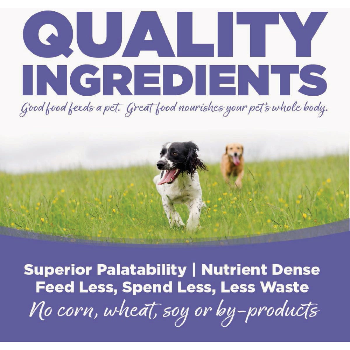 NutriSource 26 Lb. Trout & Rice Recipe Large Breed Dog Food Image 6