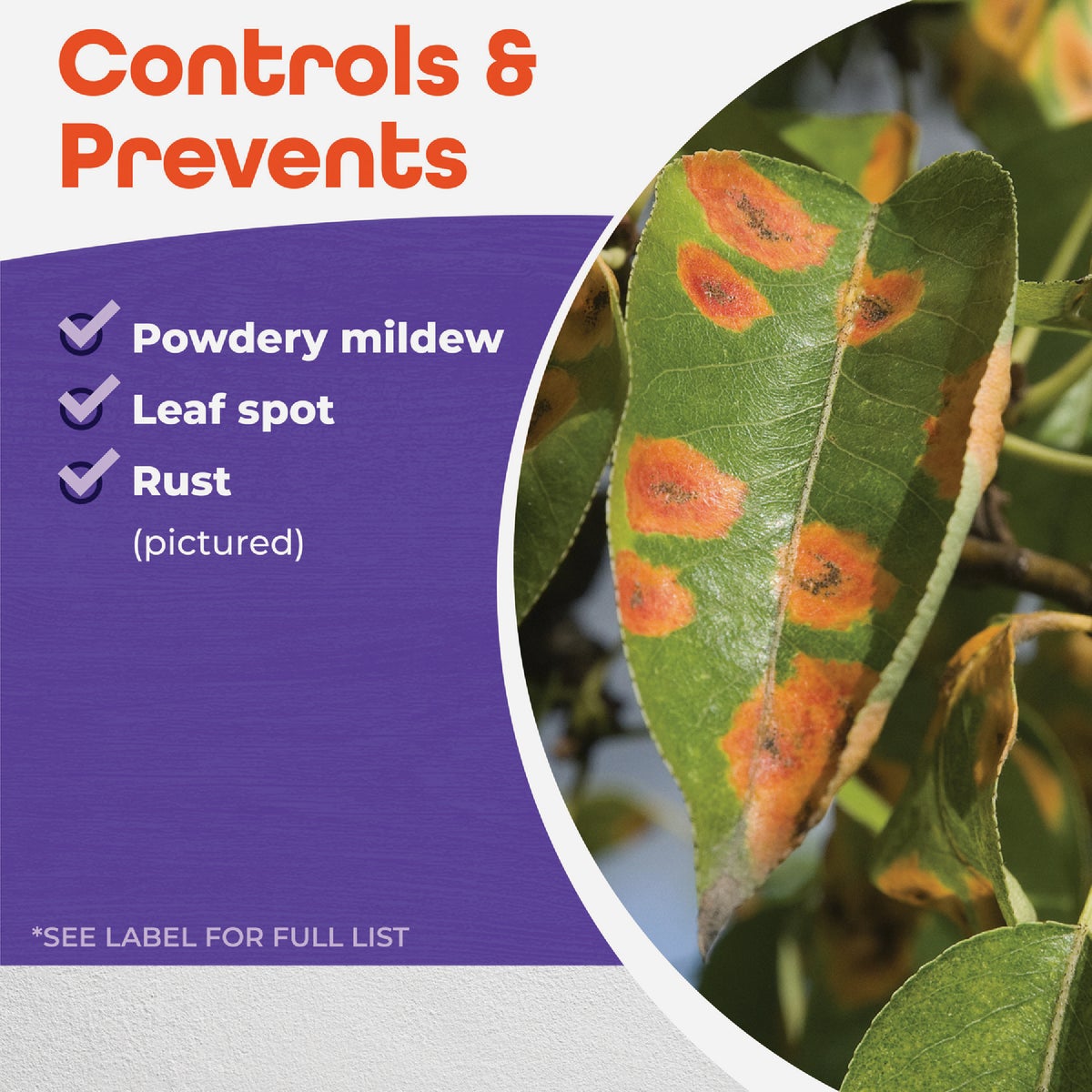 Bonide 4 Lb. Ready To Use Micronized Spray or Dust Sulfur Plant Fungicide Image 4