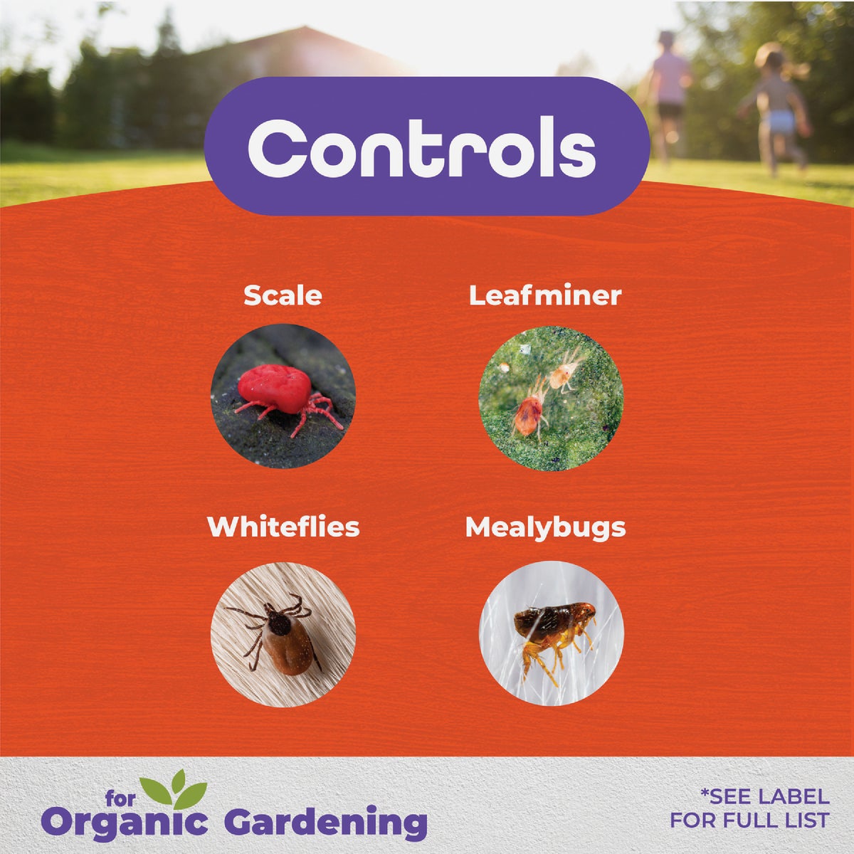 Bonide 4 Lb. Ready To Use Micronized Spray or Dust Sulfur Plant Fungicide Image 3