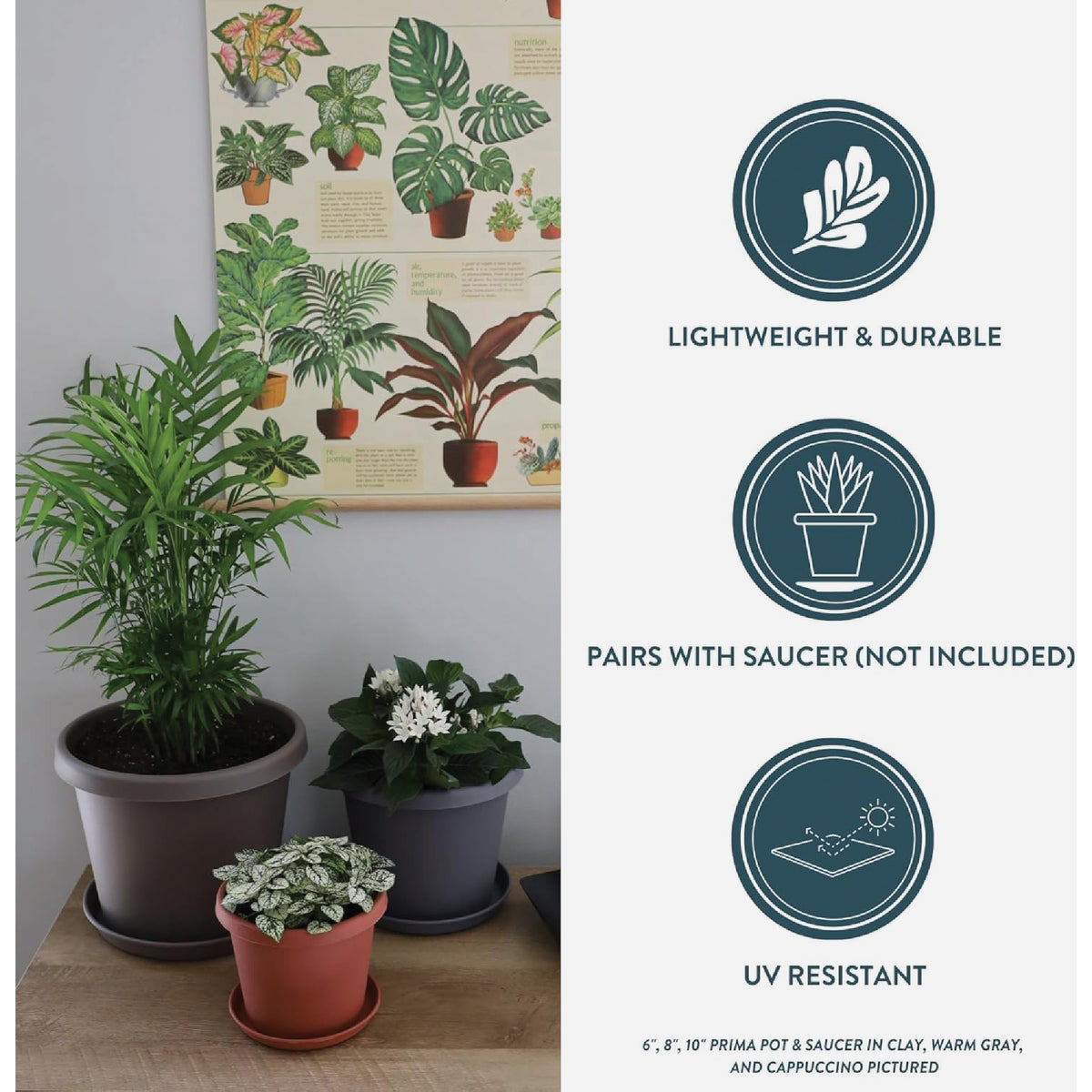 HC Companies 8 In. Black Classic Planter Image 3