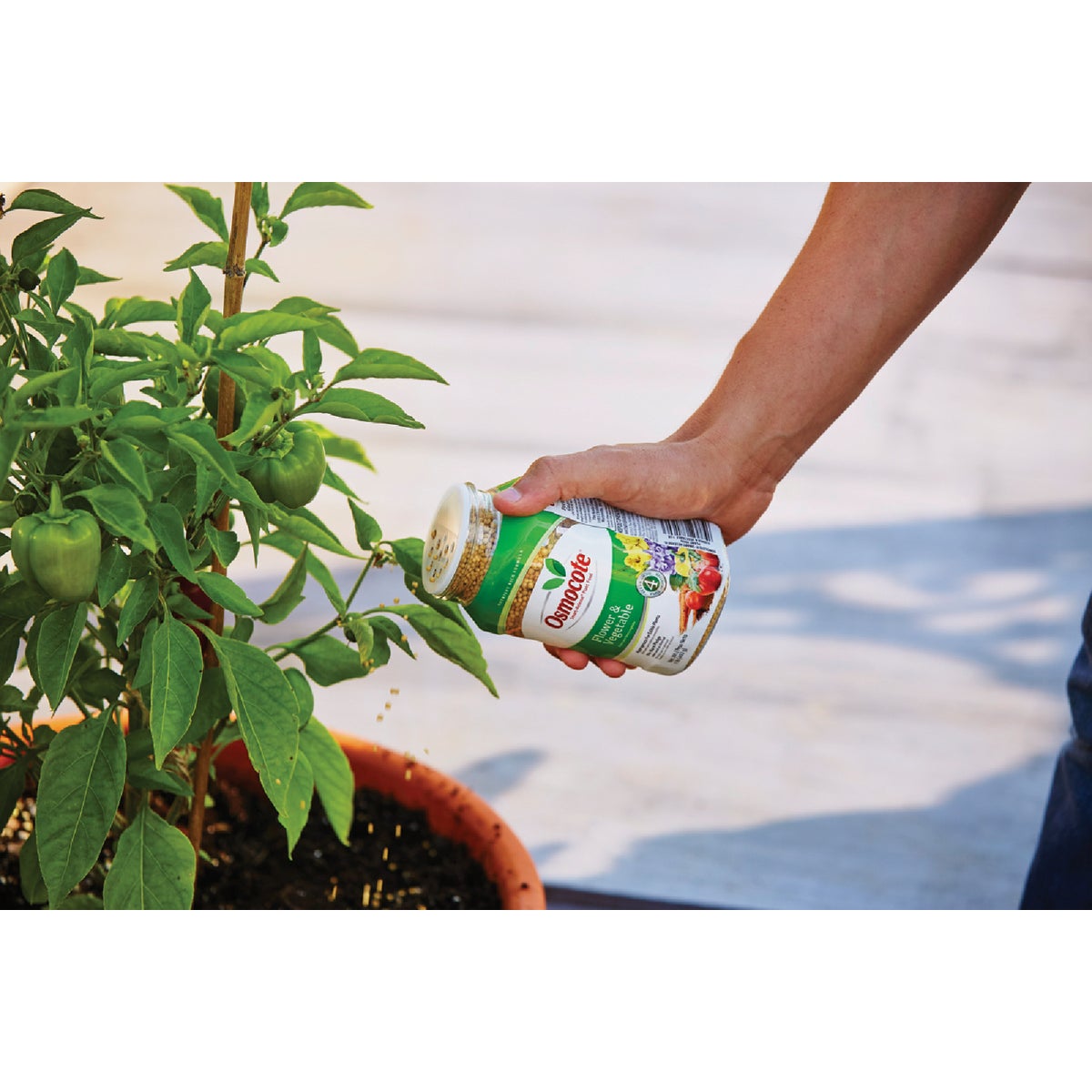 Osmocote Smart-Release 1 Lb. Flower & Vegetable Plant Food Image 2