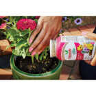 Osmocote Smart-Release Plus 1 Lb. Outdoor & Indoor Plant Food Image 5