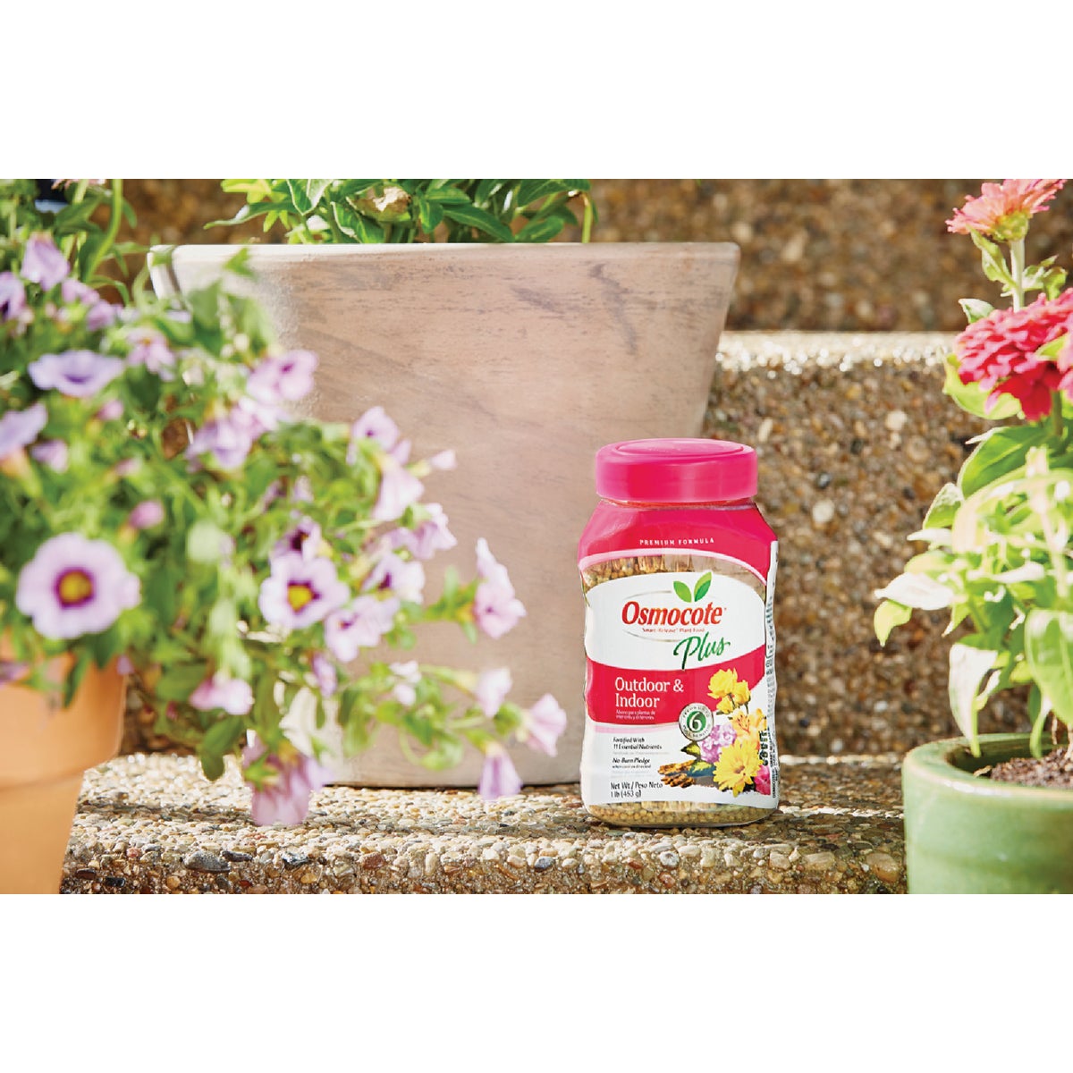 Osmocote Smart-Release Plus 1 Lb. Outdoor & Indoor Plant Food Image 2