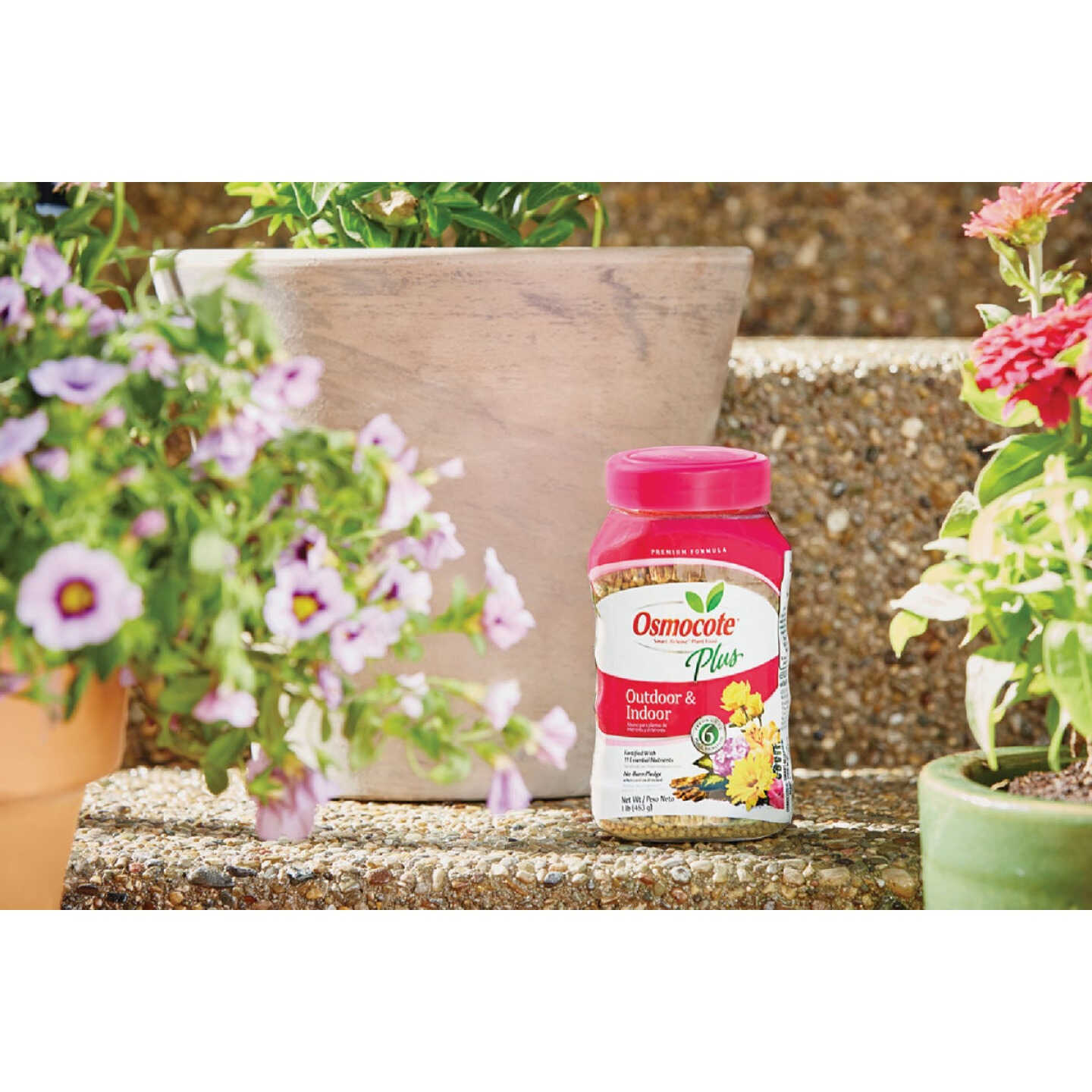 Osmocote Smart-Release Plus 1 Lb. Outdoor & Indoor Plant Food Image 2