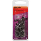 Hillman Anchor Wire 1-1/4 In. 16 ga Bright Wire Nails (1.75 Oz.) Image 1