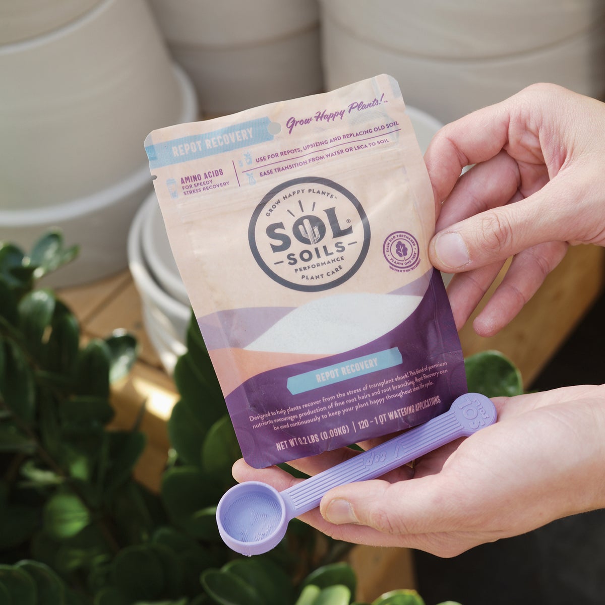 Sol Soils  0.4 Lb. Repot Recovery Image 4